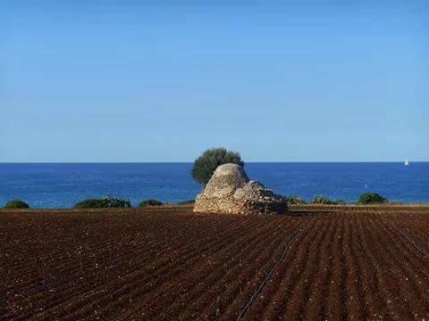 Villa "Posto Cantoro" Marina Di Pescoluse Værelse billede